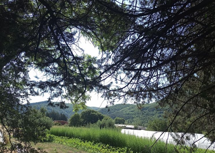 La Pompette_Molières-Cavaillac