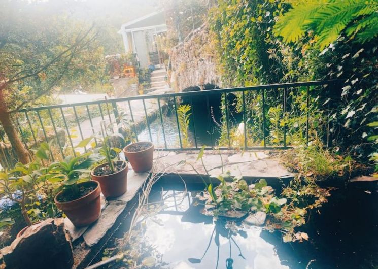 la petite ferme de capou