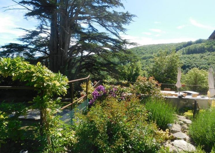 Domaine de Label - Gête du Cèdre_La Salvetat-sur-Agout