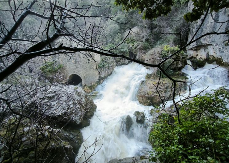 Résurgence de la Foux