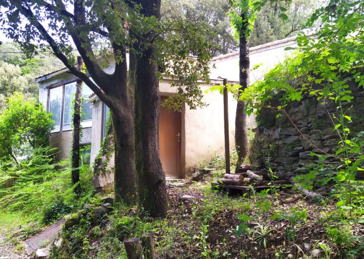 Une terrasse paisible sous les arbres