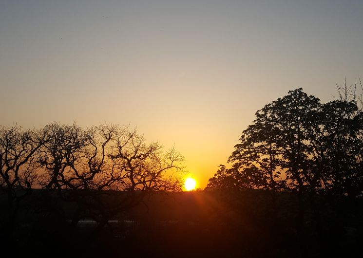 Domaine de la Brette