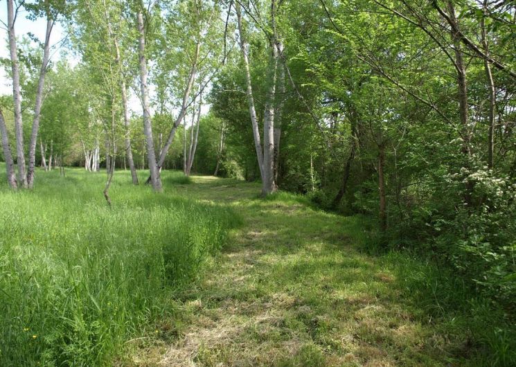 Le Cluzet 1_Valence-sur-Baïse