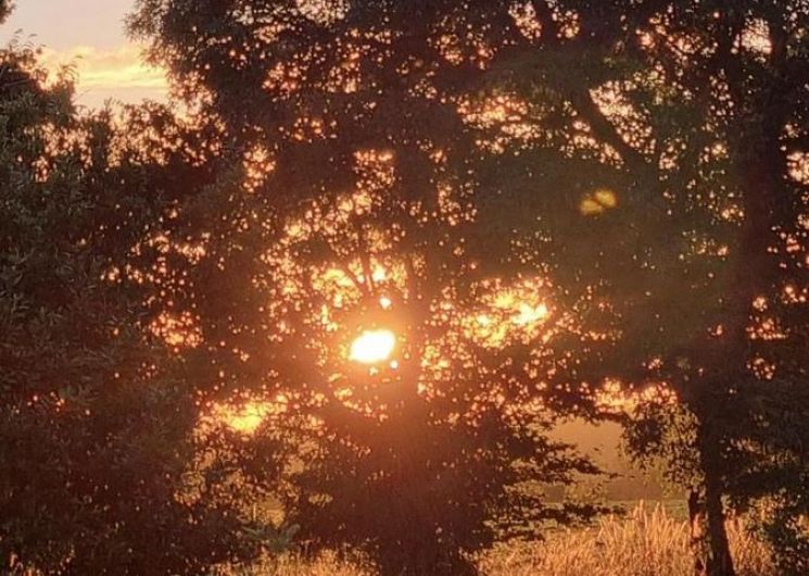 Le Cluzet 1_Valence-sur-Baïse