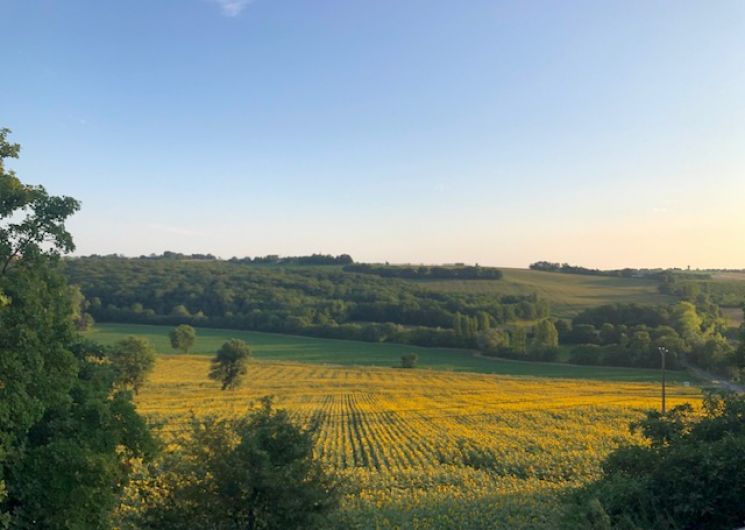 vue depuis le logement