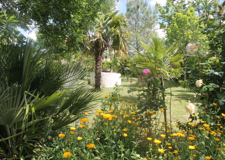 Espace vert du gîte