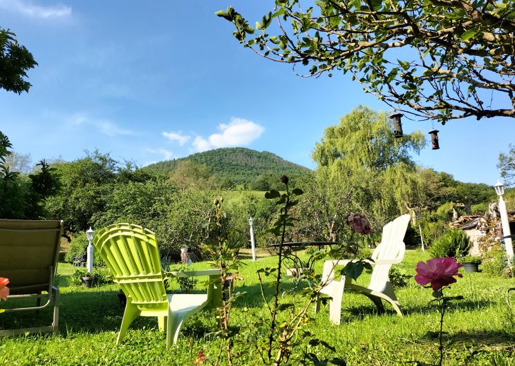 jardin fleuri