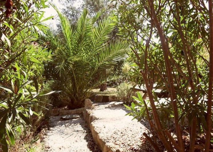 Beziers-jardin-cote-nord-1