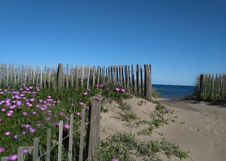 Appartement le Méditerranée Front de mer