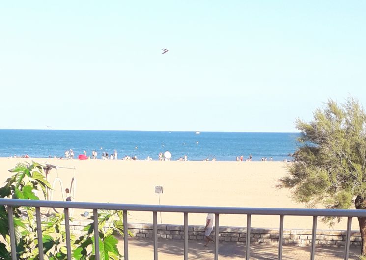 Villa La Grande Bleue - Appartement Bleu_Valras-Plage