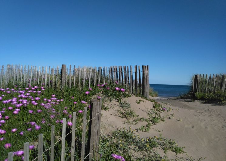 Entrée de la plage fleurie