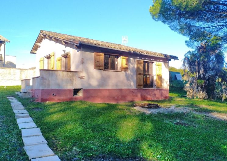 La maison du pin_Piquecos