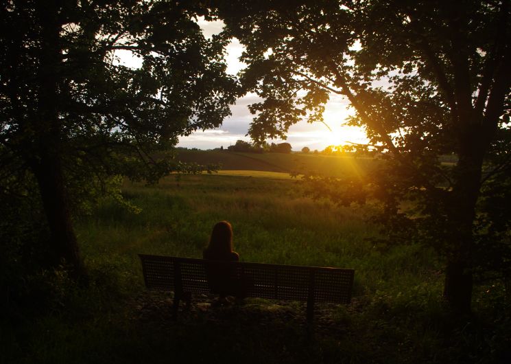 Petit gîte Le Grangé_Giscaro