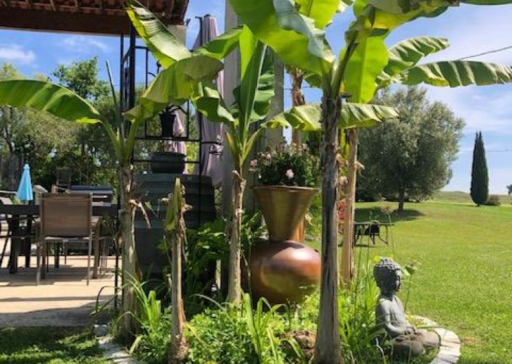 jardin