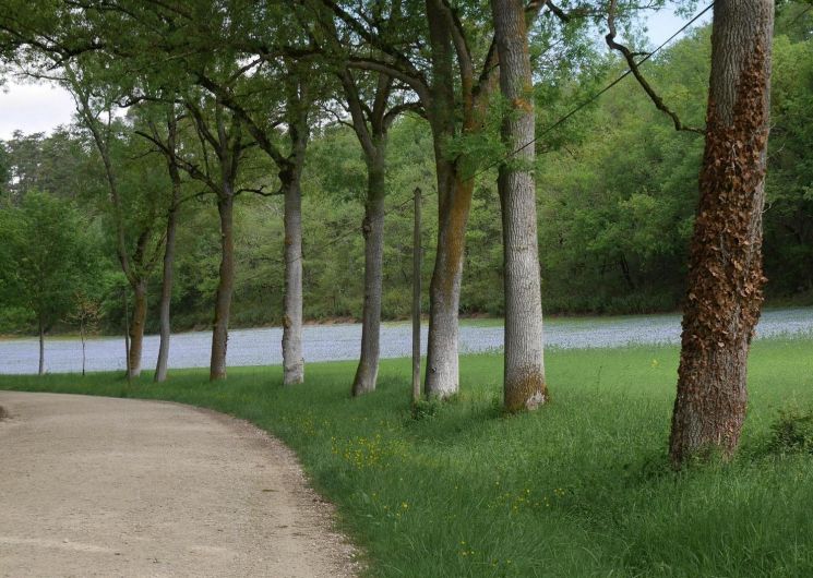 Domaine de Lassalle_Sainte-Marie