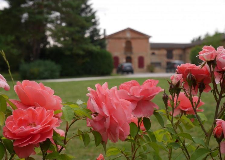 Domaine de Lassalle_Sainte-Marie