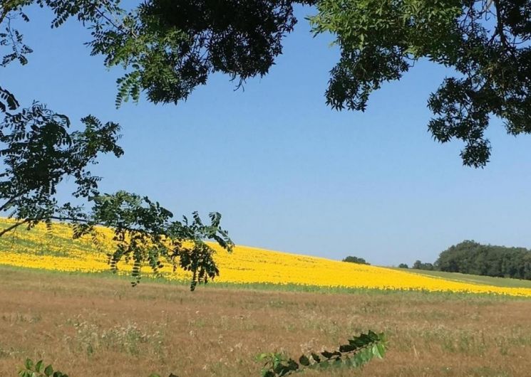 Domaine de Lassalle_Sainte-Marie