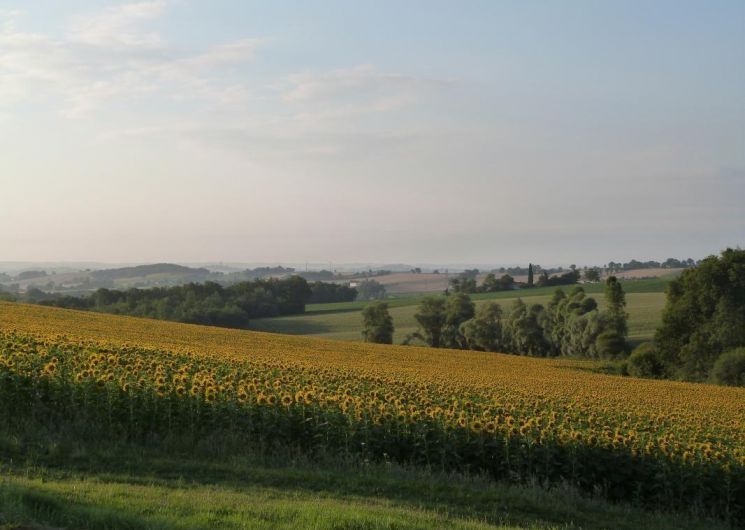 Le Calavé_Lahas