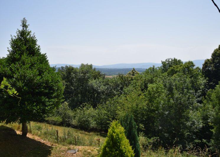 Gite des Libellules_Saint-Salvy-de-la-Balme