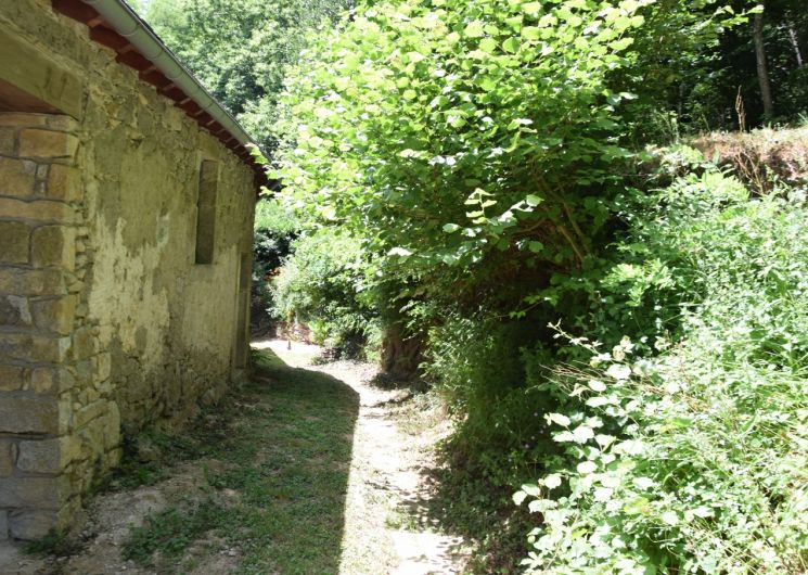 Gite des Libellules_Saint-Salvy-de-la-Balme