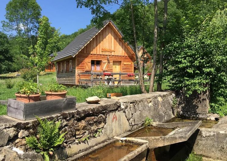 01-La mésange13.jpg