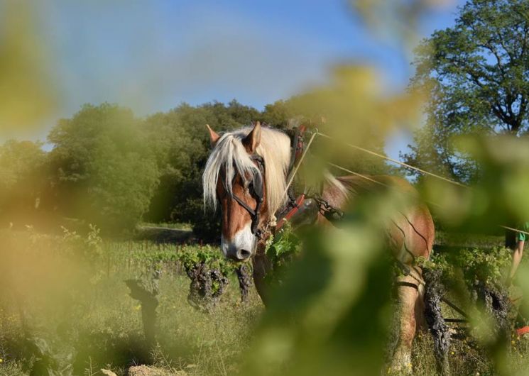 Mas des Cabrettes_Saint-Nazaire-des-Gardies