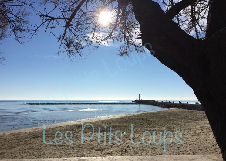 Demurger - Grau d'Agde