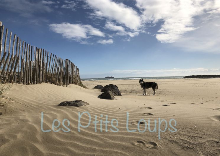 Demurger - Grau d'Agde