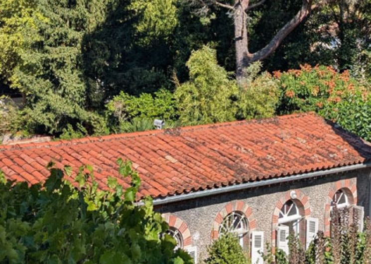 Gîte Wysteria_Mazamet