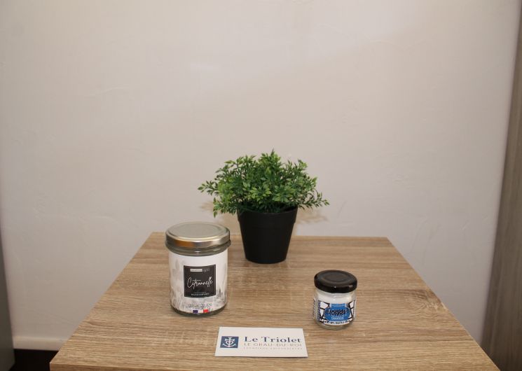 Le Triolet 1 **_Le Grau-du-Roi