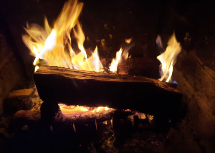 20260110_074319.jpg