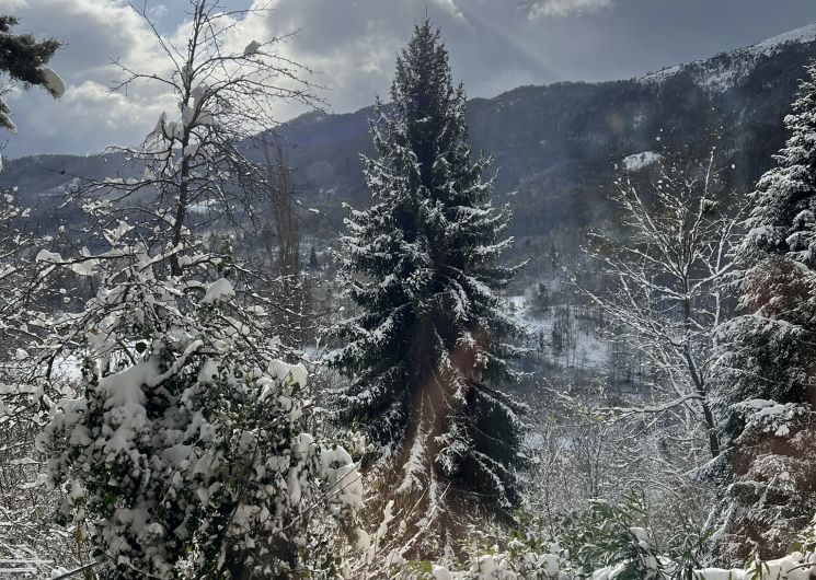 Gîte de l'ours et de la Belette 4 personnes_Saurat