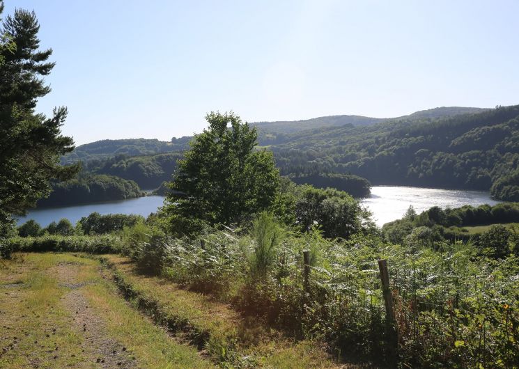 Fendrich - Le Carpe Diem - gîte 407_La Salvetat-sur-Agout