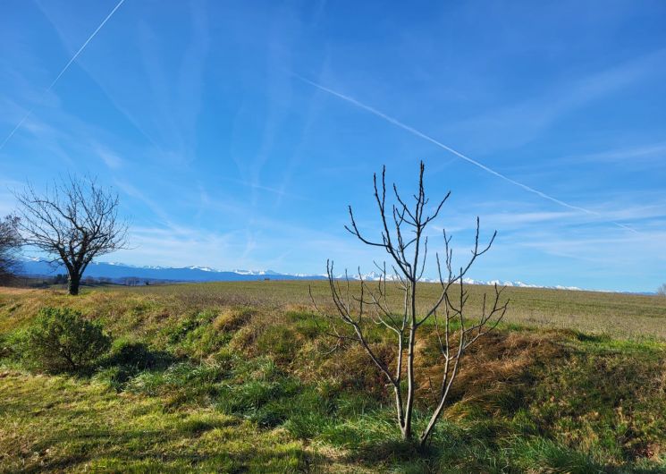 Chambre d'hôtes L&L Retraite et Silence_Durfort