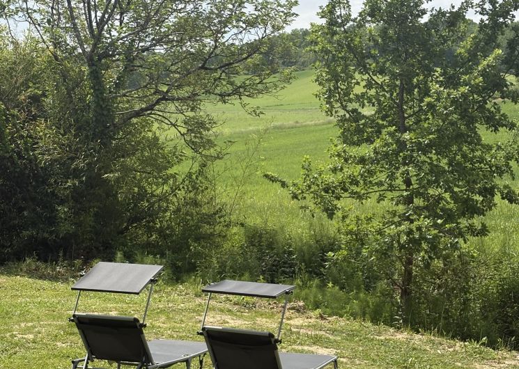La Grenouille_Cazes-Mondenard