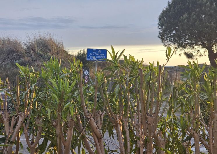 Altitude Zéro_Le Grau-du-Roi