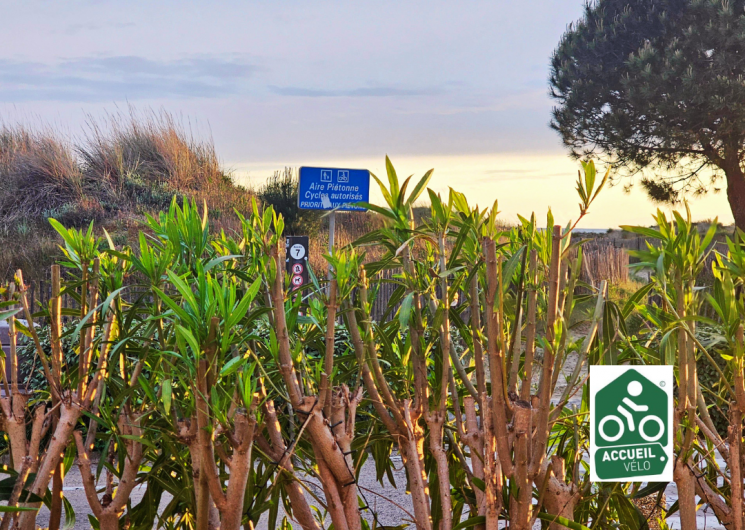 Altitude Zéro_Le Grau-du-Roi