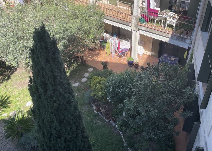 La vue des fenetres du salon