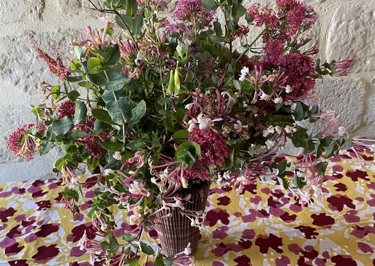 Bouquet de la garrigue