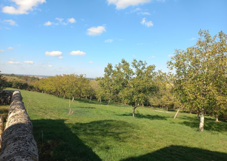 Domaine de Nogueres_Lauraët