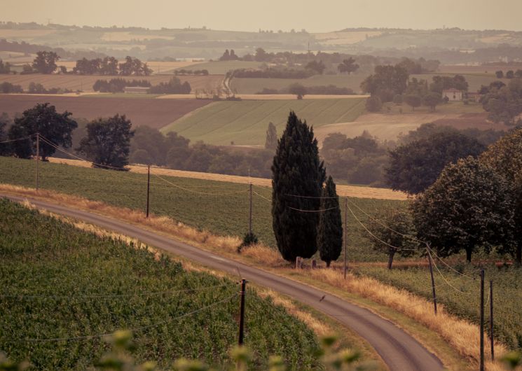 Paysage