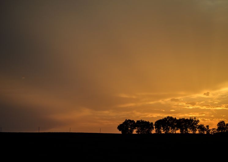 Paysage