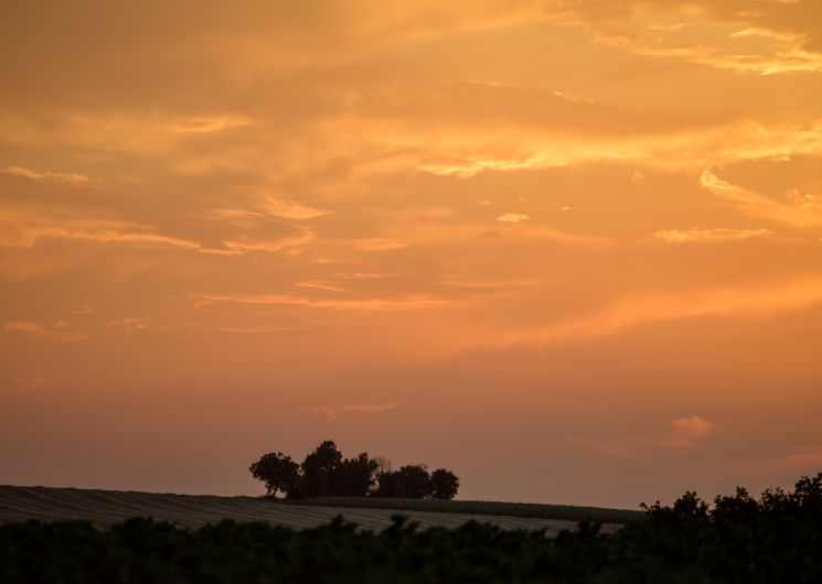 Paysage