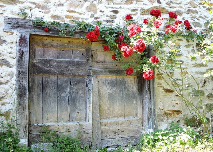 Façade sud de la Fenial