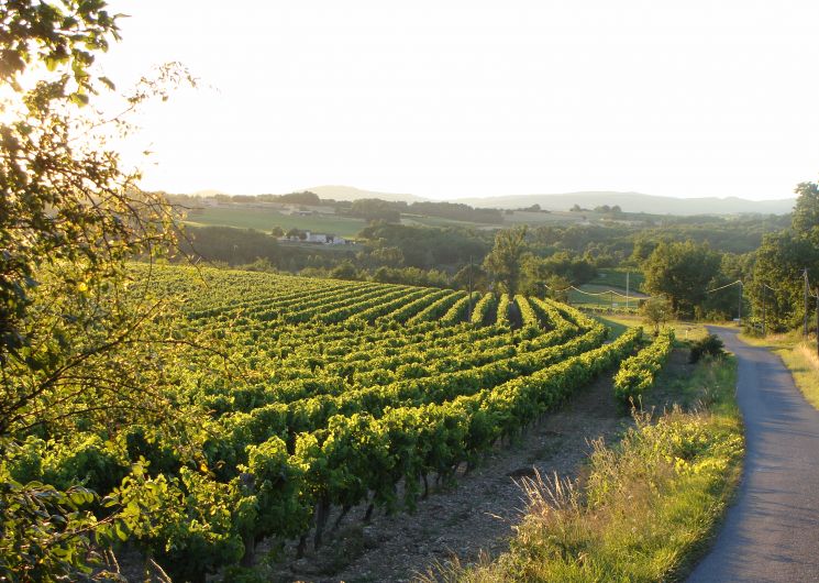 Gîte accueil paysan 2