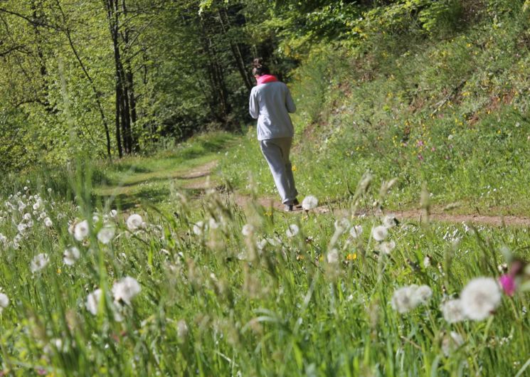 Balade forestière Base de Loisirs La Forêt