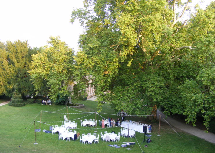 Dîner sous le platane