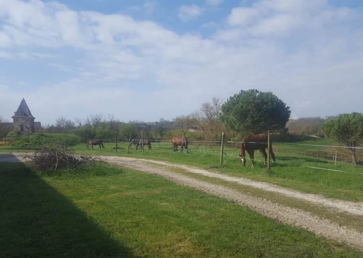 Ecuries de St Vincent