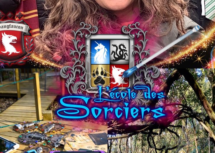 L'école des sorciers