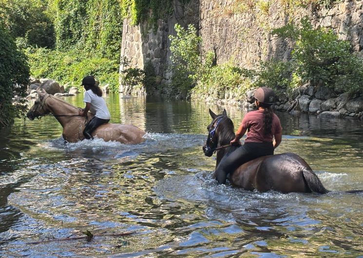 Les Poneys du Val d'Emeraude_Lasalle